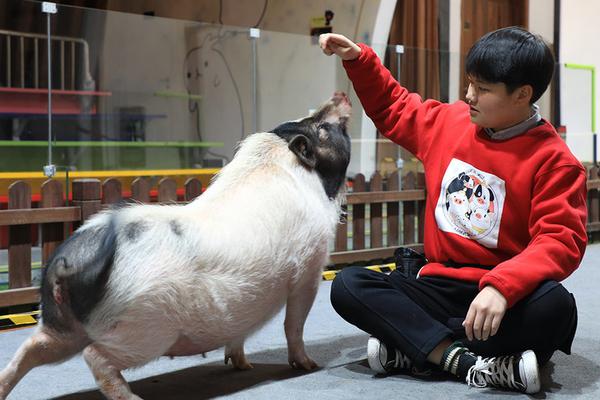 datealive 地铁逃生回归！biubiu免费加速，畅玩海量海内外精品手游