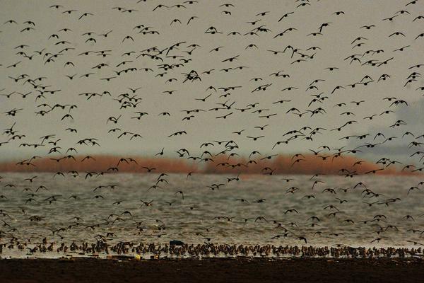 影视作品中万人迷反派为何更吸睛？如何塑造有魅力反派？