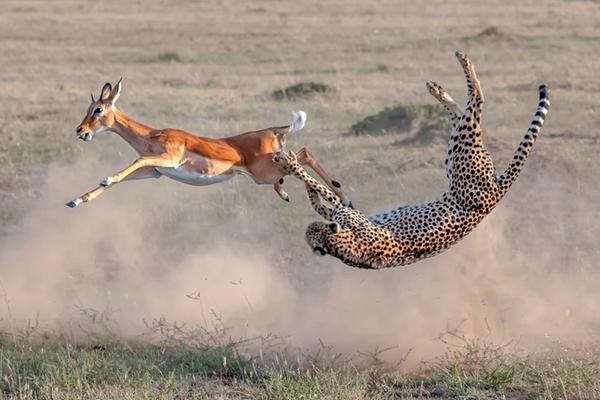 斗破苍穹老粉必看！正版免费观看渠道及支持正版的意义