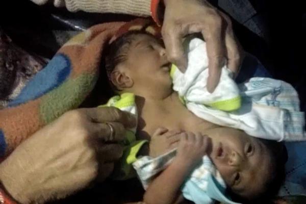 免费漫画阅站官方正版：无广告弹窗，全网漫画免费看