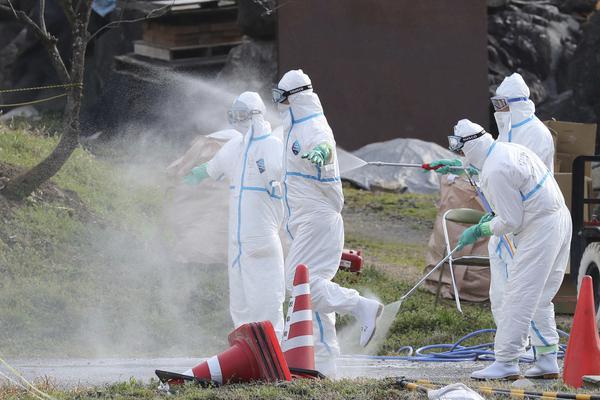 《海贼王第890集》在线观看