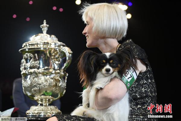 漫画老师作文500字开头