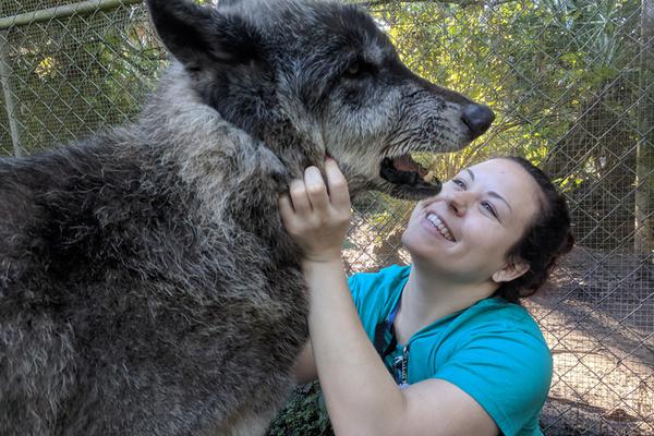 datealive 地铁逃生回归！biubiu免费加速，畅玩海量海内外精品手游