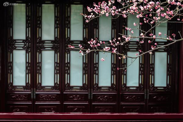 阅站漫画app最新版：免费搜索全网漫画，畅享多种便捷阅读体验