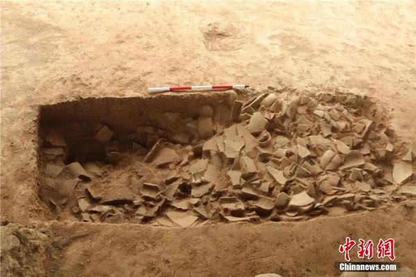 免费漫画阅站app下载安装无广告，畅享丰富漫画资源