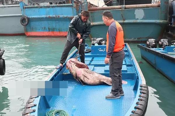 网络文学爱好者必读！新笔趣阁现状及使用建议大揭秘？