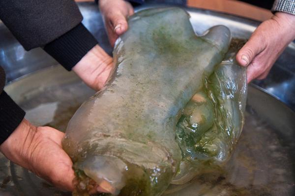 网络文学爱好者必读！新笔趣阁现状及使用建议大揭秘？