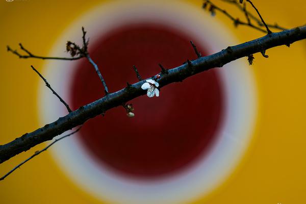 斗破苍穹老粉必看！正版免费观看渠道及支持正版的意义