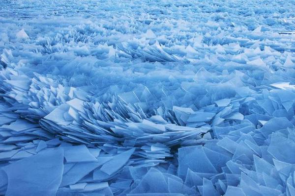 《海贼王第890集》在线观看