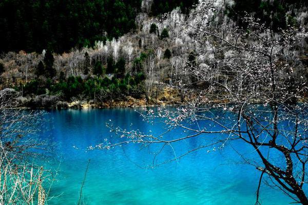 斗破苍穹老粉必看！正版免费观看渠道及支持正版的意义