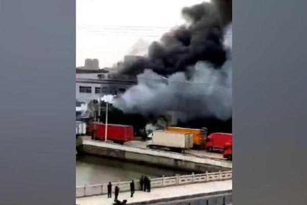 异世界搞笑冒险番为何吸引人？独特设定与反差角色是关键