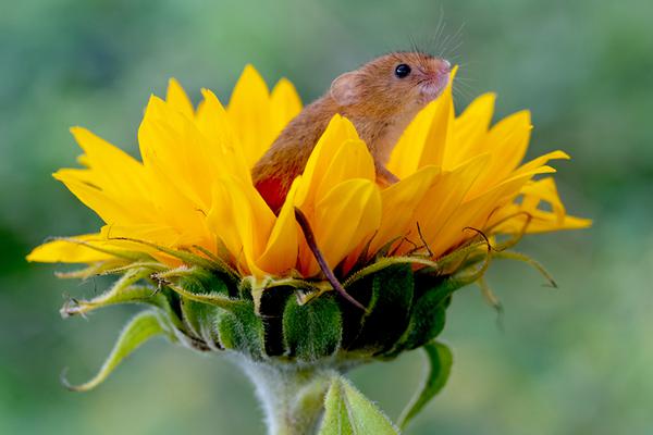 影视作品中万人迷反派为何更吸睛？如何塑造有魅力反派？