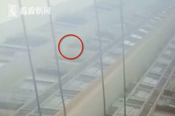 免费漫画阅站app下载安装无广告，畅享丰富漫画资源