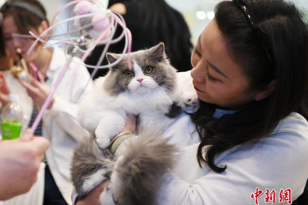 斗破苍穹老粉必看！正版免费观看渠道及支持正版的意义