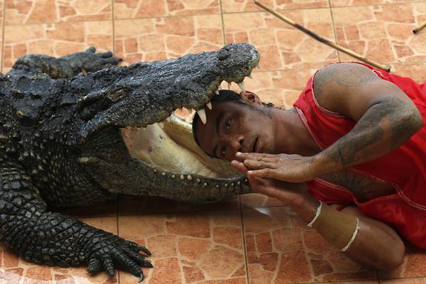 《撒野》高清壁 图片