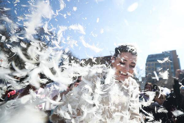 《海贼王第890集》在线观看