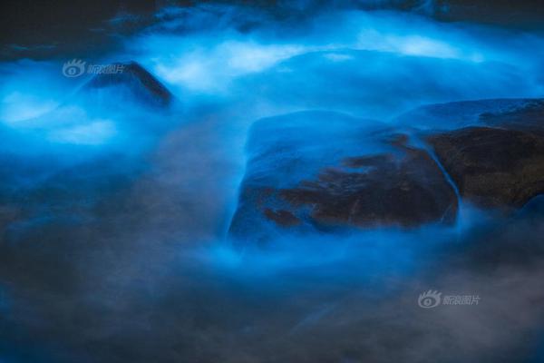 终结的炽天使第二季完整版