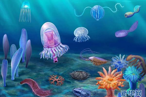 弱点漫画在线观看