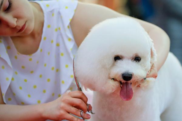 数字阅读普及下，韩漫免费观看的凯发k8国际首页登录的版权风险与安全提示