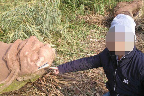 《海贼王第890集》在线观看