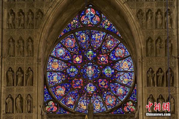 《海贼王第890集》在线观看