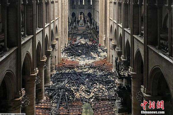 《海贼王第890集》在线观看