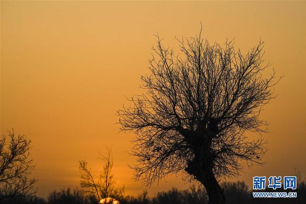 弱点漫画在线观看