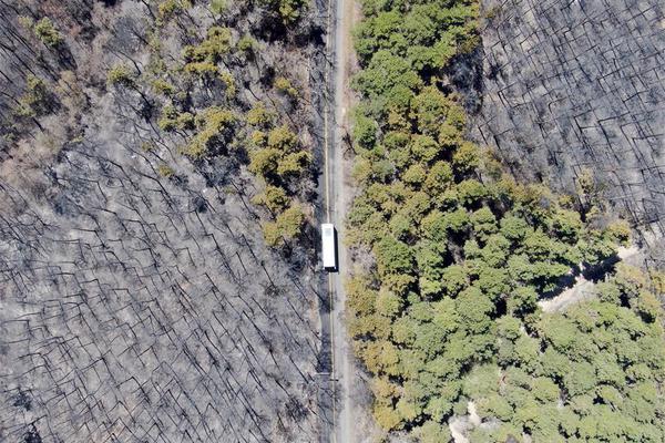 《海贼王第890集》在线观看