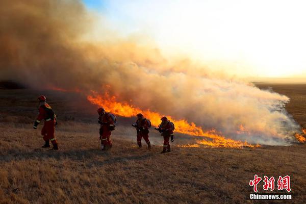 妖精种植手册的同人小说