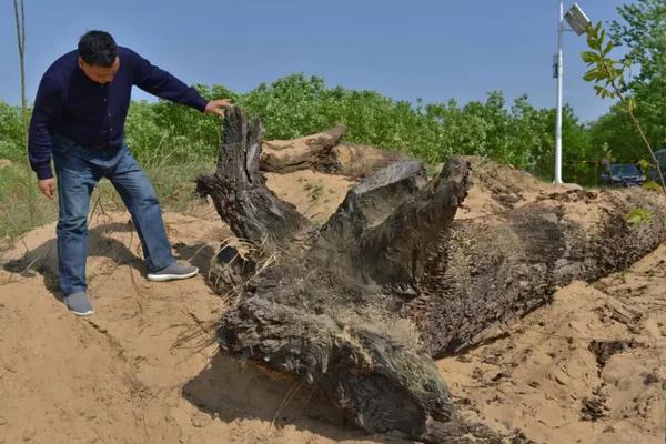 影视作品中万人迷反派为何更吸睛？如何塑造有魅力反派？