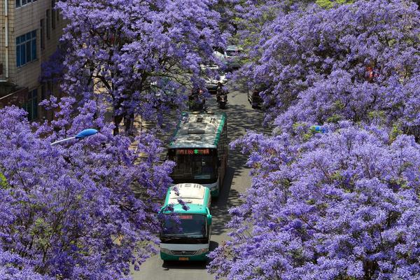 备受关注的死神230模型，设计与工艺究竟有多出色？