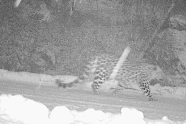 网络文学爱好者必读！新笔趣阁现状及使用建议大揭秘？