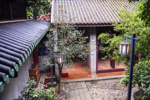 米迦尔炽天使形态文