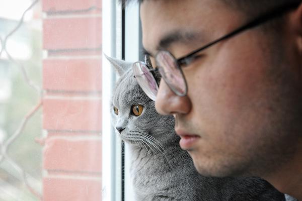 免费漫画阅站app下载安装无广告，畅享丰富漫画资源