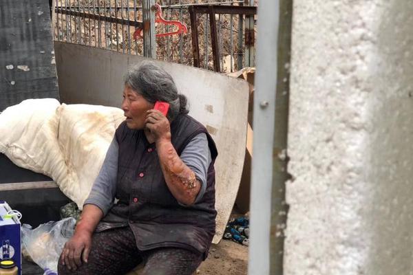 免费漫画阅站app下载安装无广告,畅享丰富漫画资源