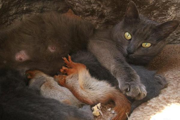 弱点漫画在线观看