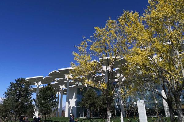 datealive 地铁逃生回归！biubiu免费加速，畅玩海量海内外精品手游