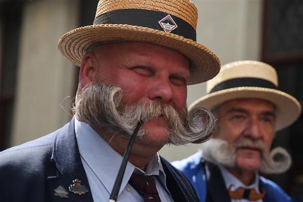 《海贼王第890集》在线观看