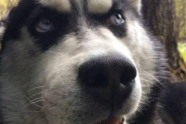 异世界搞笑冒险番为何吸引人？独特设定与反差角色是关键