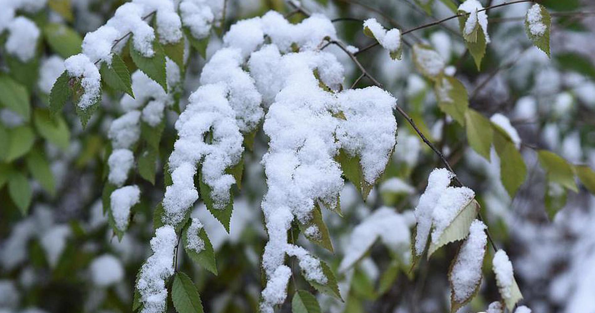 网络文学爱好者必读！新笔趣阁现状及使用建议大揭秘？