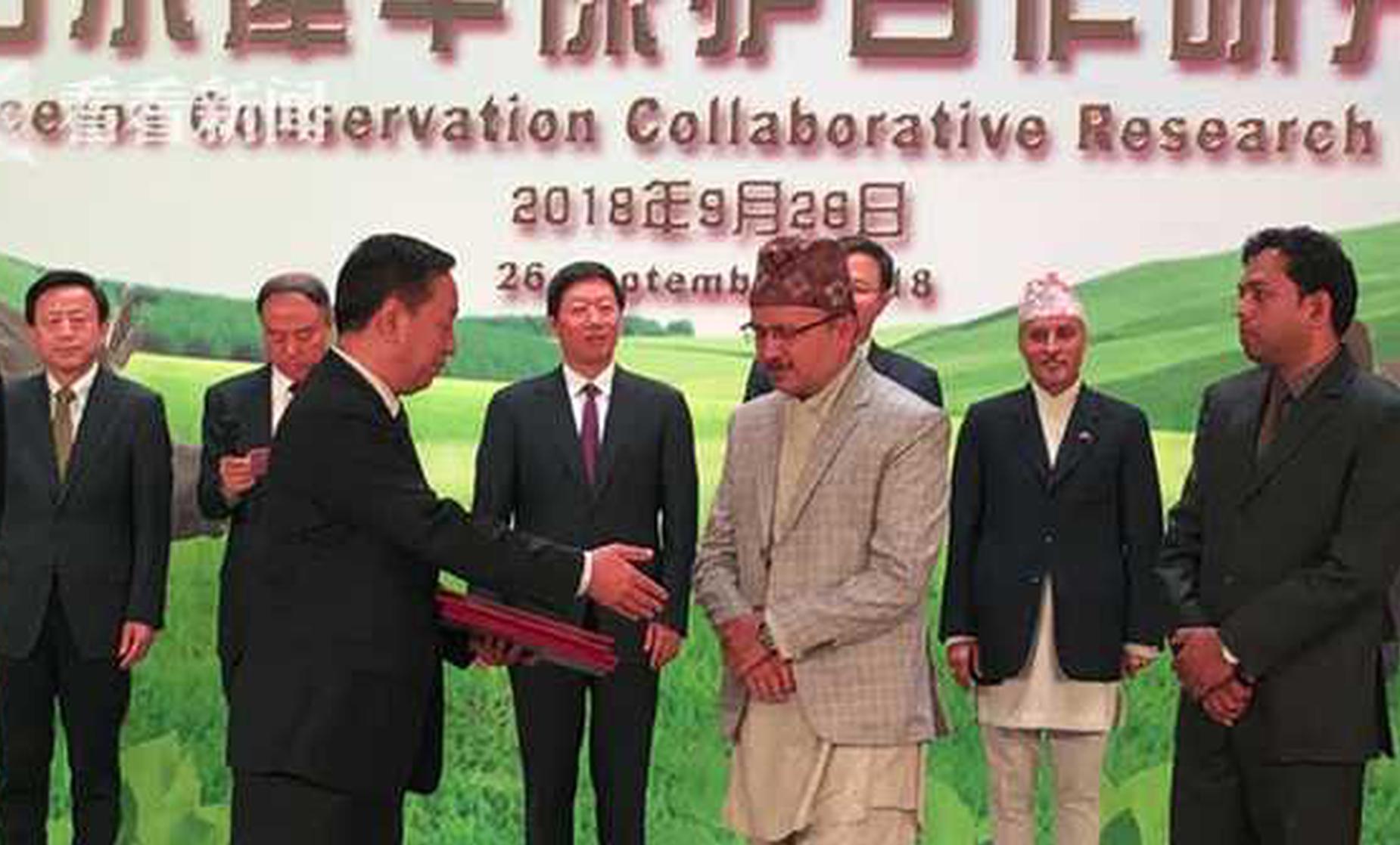 备受关注的死神230模型，设计与工艺究竟有多出色？