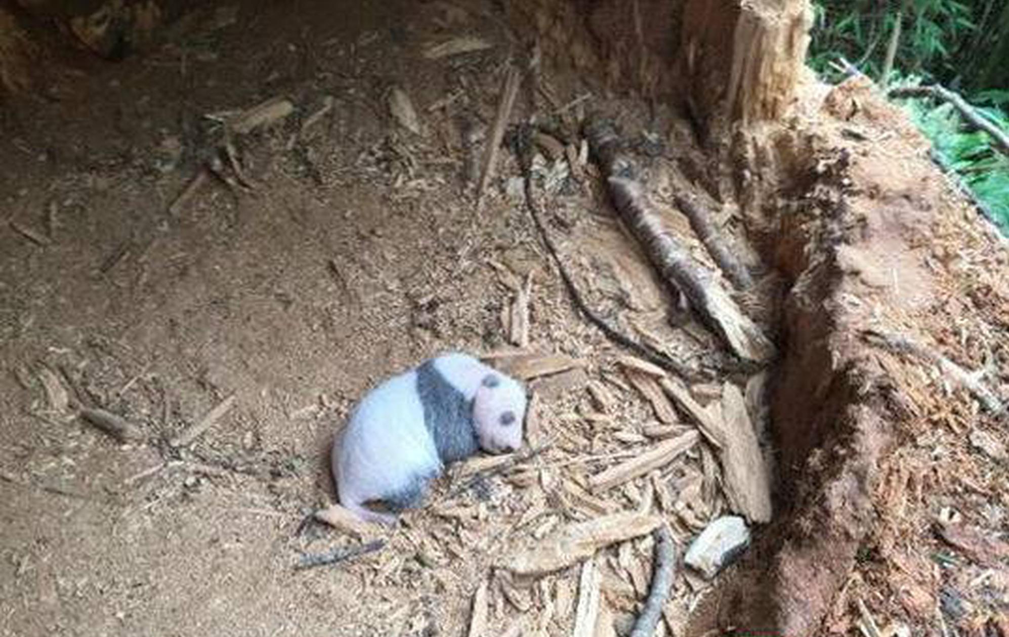 阅站漫画：资源丰富更新快，免费福利多，阅读体验超棒