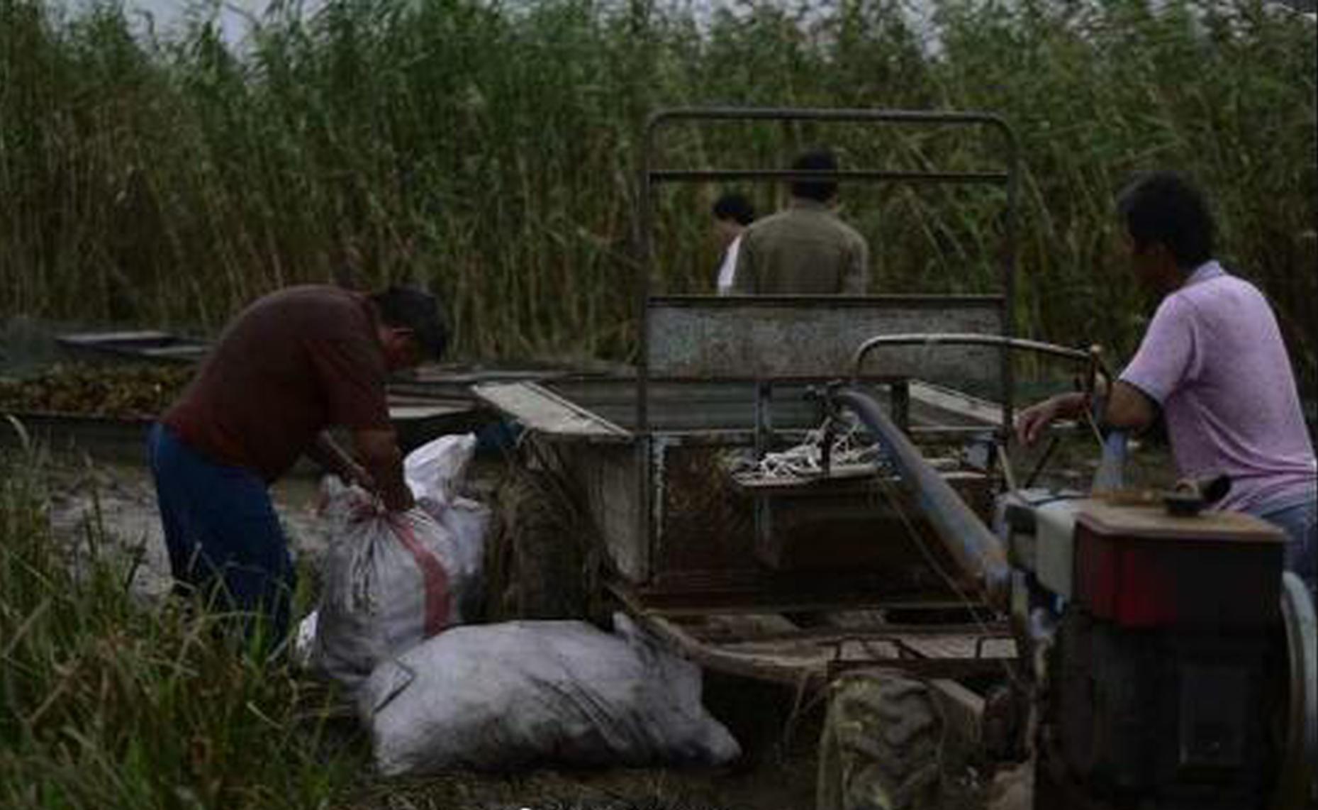 免费漫画阅站官方正版：无广告弹窗，全网漫画免费看