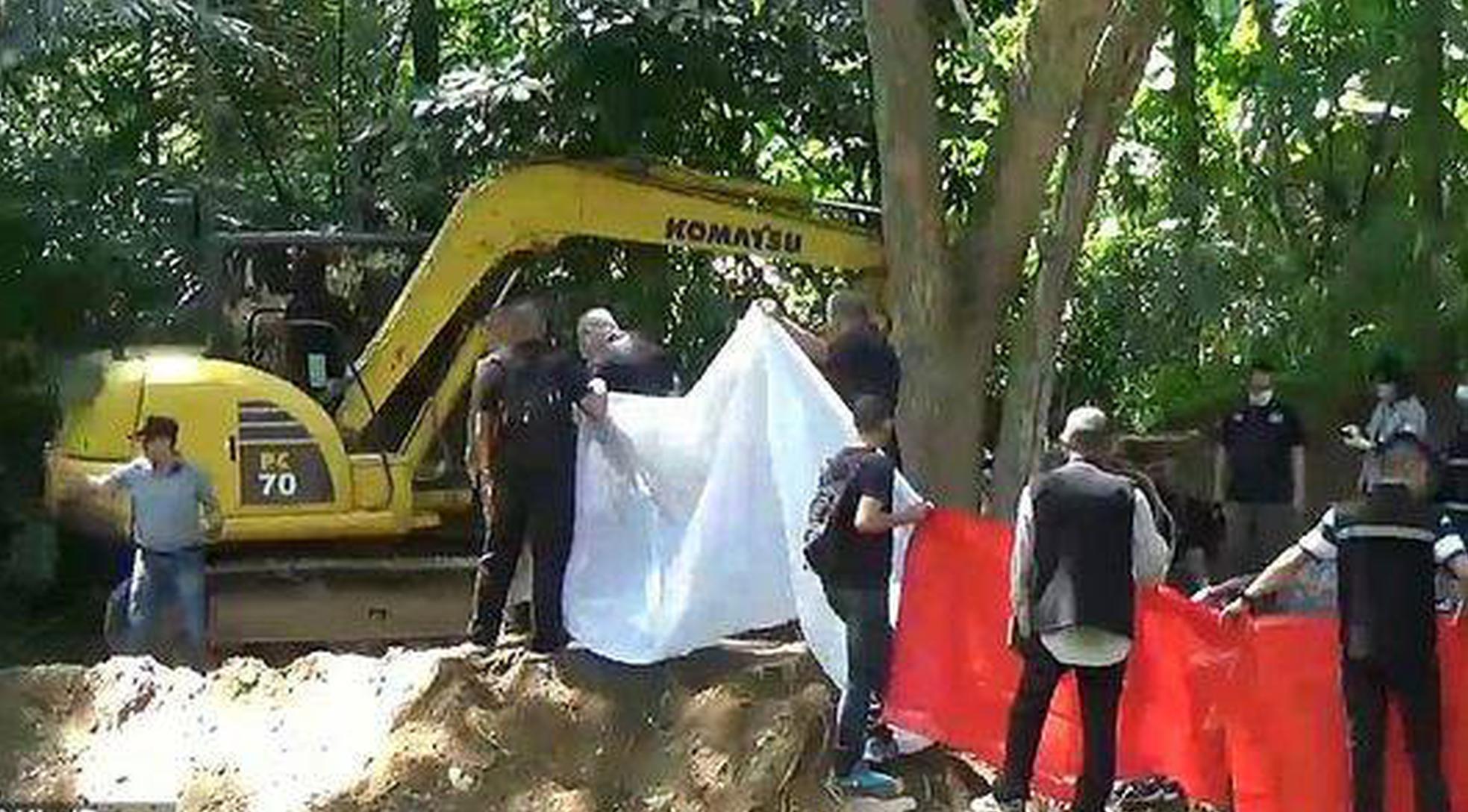 斗破苍穹老粉必看！正版免费观看渠道及支持正版的意义