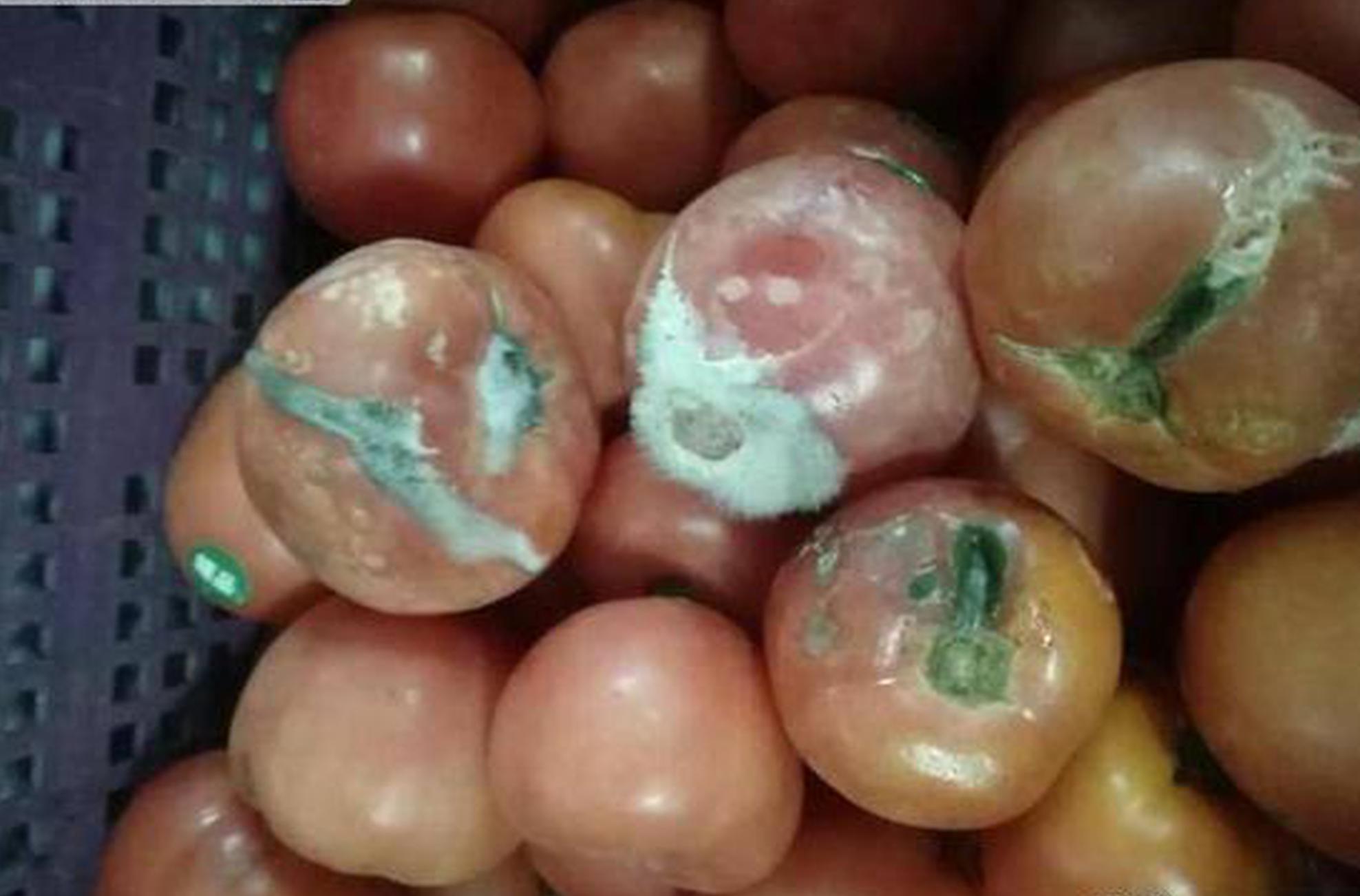 天官赐福百剑穿心