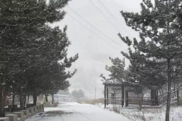 哔哩哔哩隐藏内容怎么找？特殊标签与搜索技巧是关键