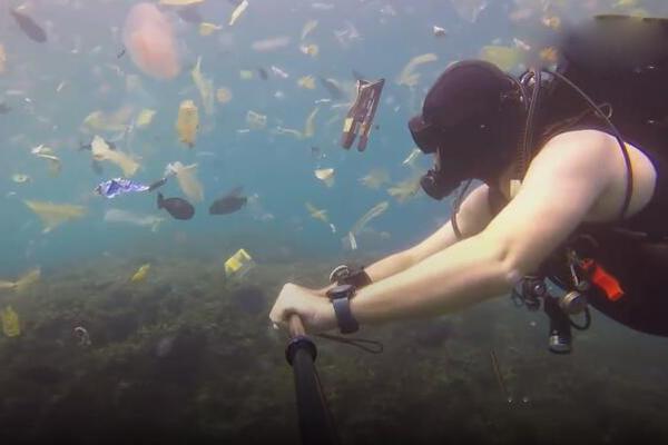 《海贼王第890集》在线观看