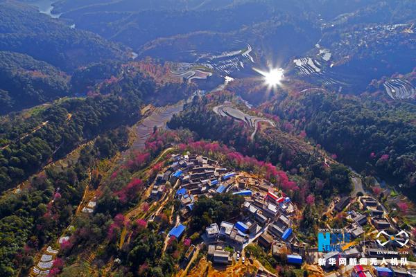 免费漫画阅站app下载安装无广告，畅享丰富漫画资源