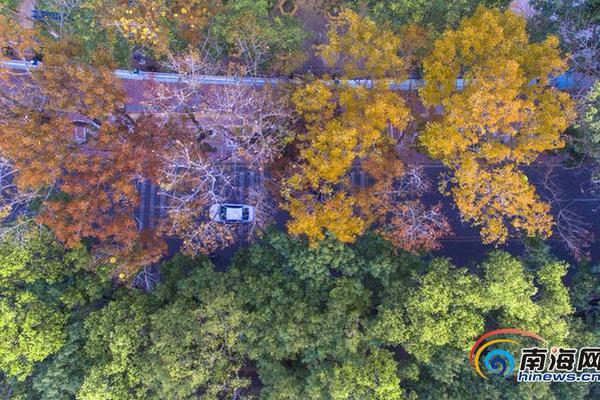 免费漫画阅站官方正版：无广告弹窗，全网漫画免费看