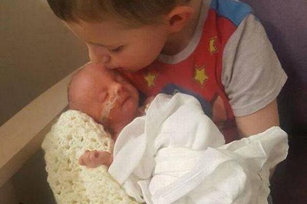 撒野全文免费阅读完整版